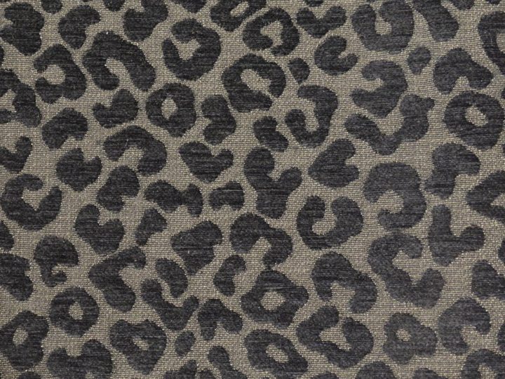 Leopard 099