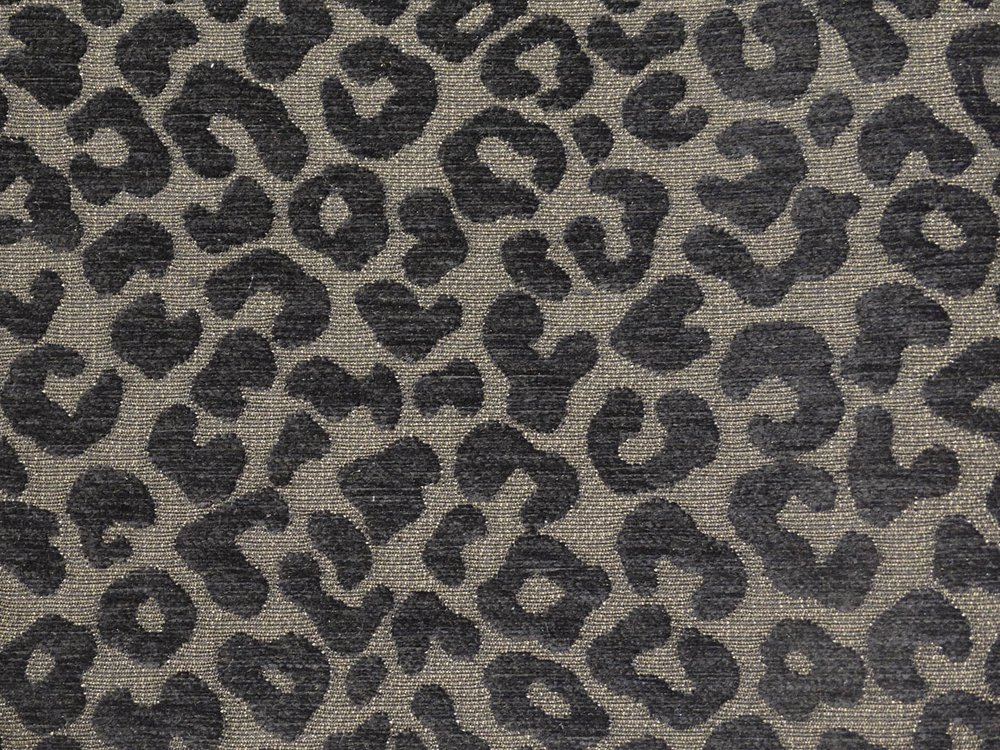 Leopard 099