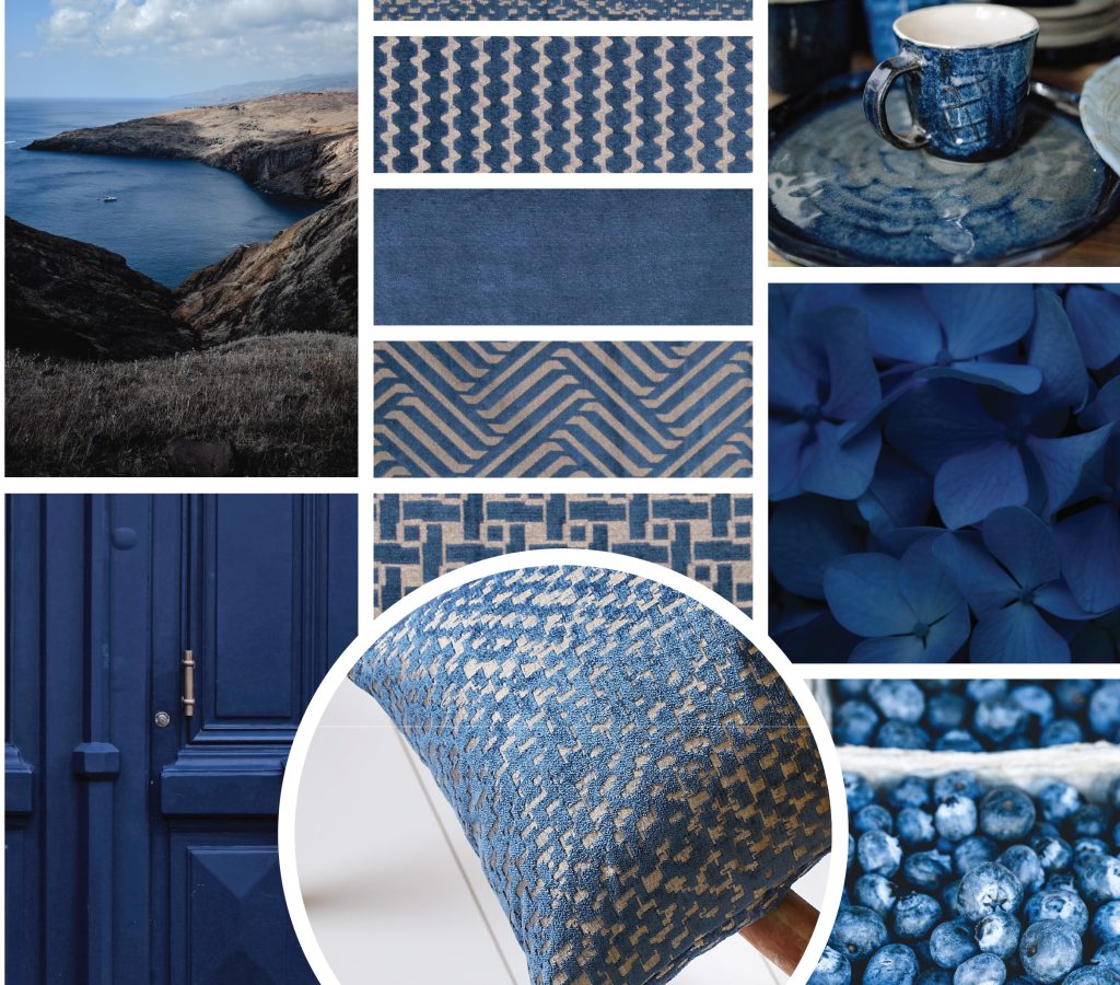 Cosmos Front Header back