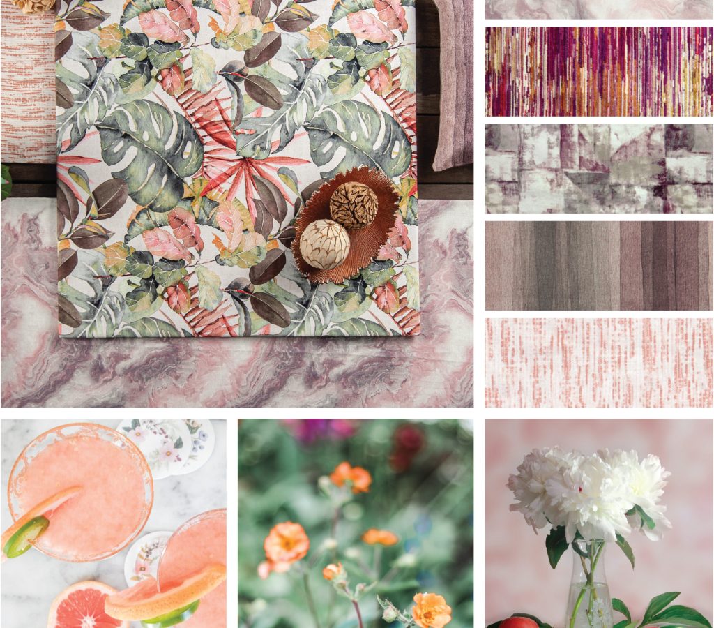 Cosmos Front Header back